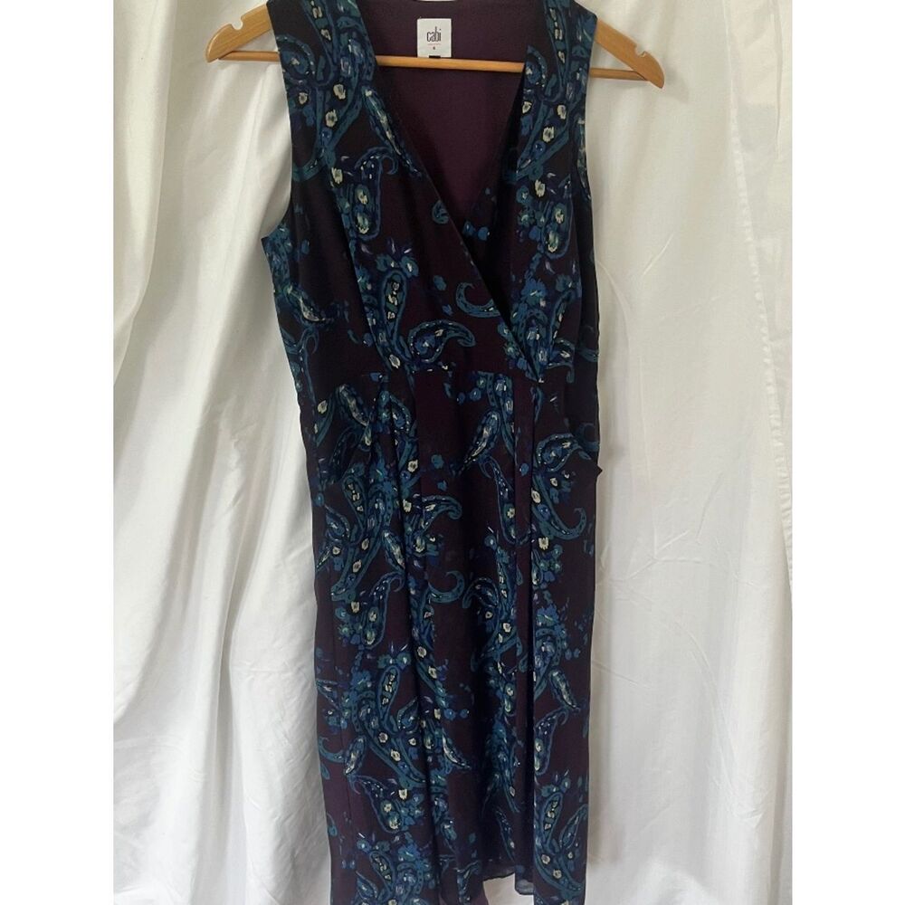 Cabi dress